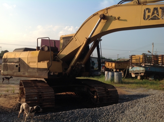 ขายด่วนรถแบคโฮcat320 v1