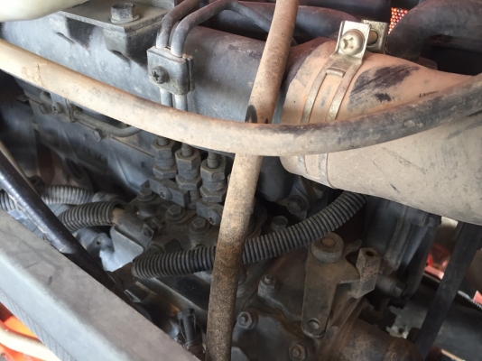 ขายแล้ว