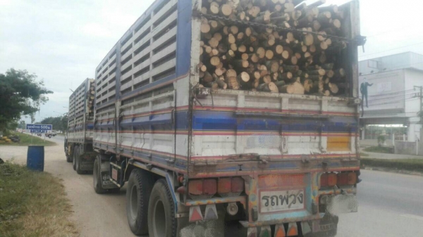 ขายรถพ่วงไม่ดั้ม 22 ล้อ แม่-ลูก กระบะเหล็กคอกเกษตรไม่ดั้ม อู่.สห  กิจ  ISUZU 320 ปี.51 แม็คโหลด   รถ สวย ราคาย้อมๆแค่.1680000 ต่อรอง  สนใจรีบจองด่วน 0813531946