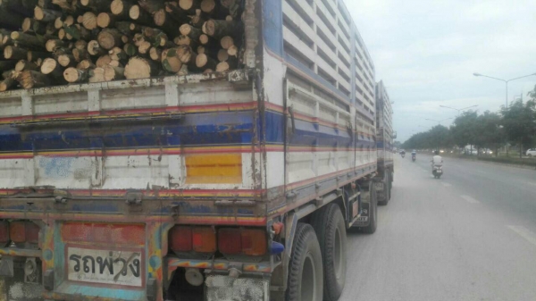 ขายรถพ่วงไม่ดั้ม 22 ล้อ แม่-ลูก กระบะเหล็กคอกเกษตรไม่ดั้ม อู่.สห  กิจ  ISUZU 320 ปี.51 แม็คโหลด   รถ สวย ราคาย้อมๆแค่.1680000 ต่อรอง  สนใจรีบจองด่วน 0813531946