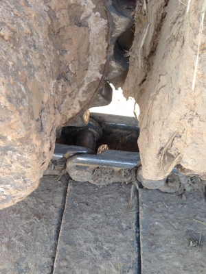 ขายด่วน KOBELCO SK200-5 SUPER  รถสภาพพร้อมใช้งาน เครื่องปั้มดีเยี่ยม ไฟฟ้าครบ แอร์เย็น โซ่ช่วงล่างเต็มทั้งสองข้าง เอวแน่น รถทำงานสมบูรณ์ เอกสารใบแจ้งจำหน่าย