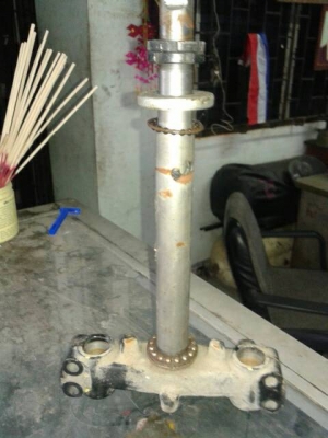 แผงคอ fino