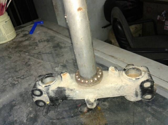 แผงคอ fino