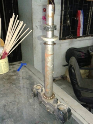 แผงคอ fino