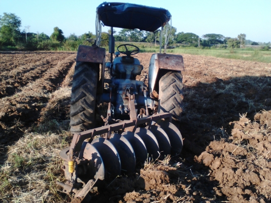 ขายรถไถฟอดร์รวงขัาว