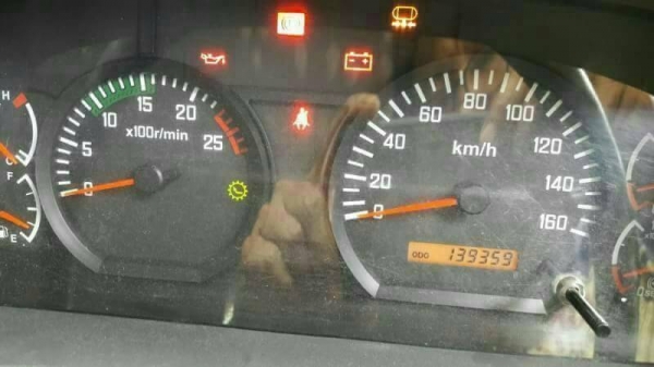 ขายดาวน์ 850,000 ISUZU360 ปี 57 พ่วงดั๊มพืชไร่ อู่สมศักดิ์ ลูก 3 คาน/เดิม บาง สวยและสด.  ส่งต่ออีก 36 งวดๆX 74,000  = 2,664,000  รถอยู่ อุบล ฯ(โทร &ไอดีไลน์) 090-772-3710 090-772-3708 ขายดาวน์ 850,000 ISUZU360 ปี 57 พ่วงดั๊มพืชไร่ อู่สมศักดิ์ ลูก 3 คาน/เดิม บาง สวยและสด.  ส่งต่ออีก 36 งวดๆX 74,000  = 2,664,000  รถอยู่ อุบล ฯ(โทร &ไอดีไลน์) 090-772-3710 090-772-3708