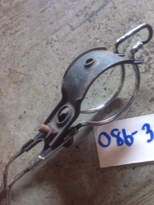 ขายหนวดกุ้งDt. ราคา. 470.