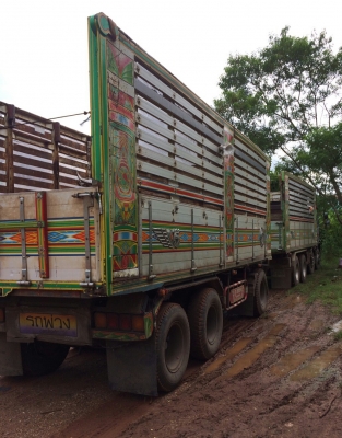 ขาย12ล้อ อีซูชุ 320ปี49 แม่ลูก3คาน ดั้มกะบะค๊อกเกษตร สภาพดีสวยเดิมๆไม่มีชน เล่มทะเบียน/โอน ขาย1,850,000บ รถสวยๆน่าใช้