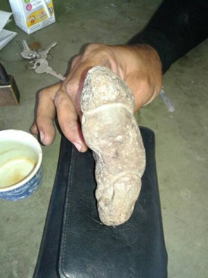 ปลัดขิก(หิน)เครื่องลางโบราณล 420.- ปลัดขิก(หิน)เครื่องลางโบราณล 420.-