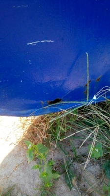 ถังน้ำ มีขายทั้งหมด 3 ใบ ขนาด 10,000 ลิตร เดิมเป็นถังใส่10ล้อ ถังน้ำ มีขายทั้งหมด 3 ใบ ขนาด 10,000 ลิตร เดิมเป็นถังใส่10ล้อ