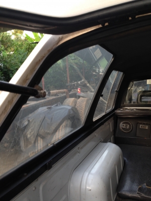 ขายหลังคาแคลิบอยบิ๊กเอ็มตอนเดียว