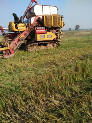 รถเกี่ยว รถเกี่ยว