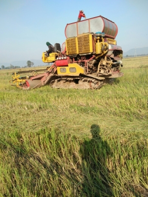 รถเกี่ยว