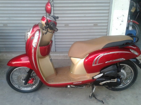 สกู๊ปปี้ ปี 56