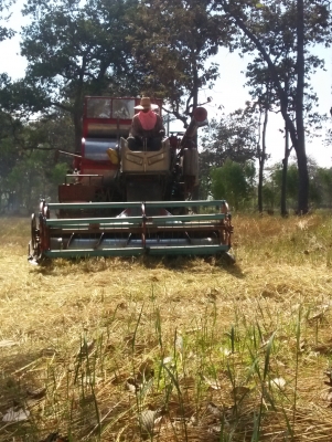 ขายเครื่องอิสุสุ4bc1