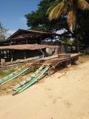 ขายเทนเลอร์