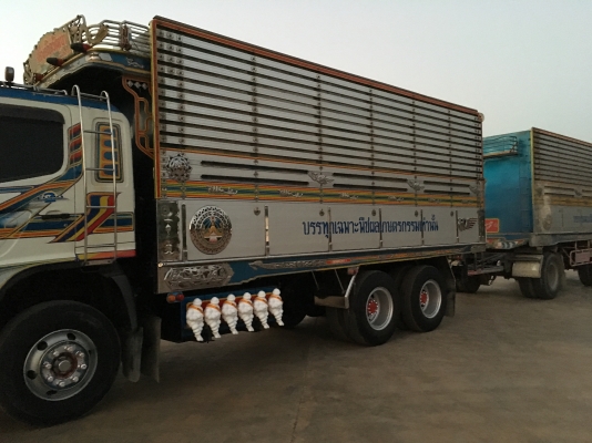 ขาย320แรง ดั้มซุ่นชัย สภาพสวย เดิมๆบางๆทุกจุด