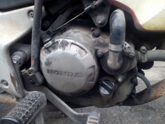 ขาย Honda Sonic 125 ปี 43 ล้อแม็กมีดุ้งนิดๆสองล้อ เครื่องติดขี้ได้ มีควันหน่อยๆ สภาพภายนอกไม่สวย (ตามรูป) บังโคลนหลังหัก-แตก ทะเบียนขาด 1 ปี (ขายตามสภาพ รถขับได้ เอาไปต่อพ่วงข้างได้ ) เล่มพร้อมชุดโอน ขาย Honda Sonic 125 ปี 43 ล้อแม็กมีดุ้งนิดๆสองล้อ เครื่องติดขี้ได้ มีควันหน่อยๆ สภาพภายนอกไม่สวย (ตามรูป) บังโคลนหลังหัก-แตก ทะเบียนขาด 1 ปี (ขายตามสภาพ รถขับได้ เอาไปต่อพ่วงข้างได้ ) เล่มพร้อมชุดโอน