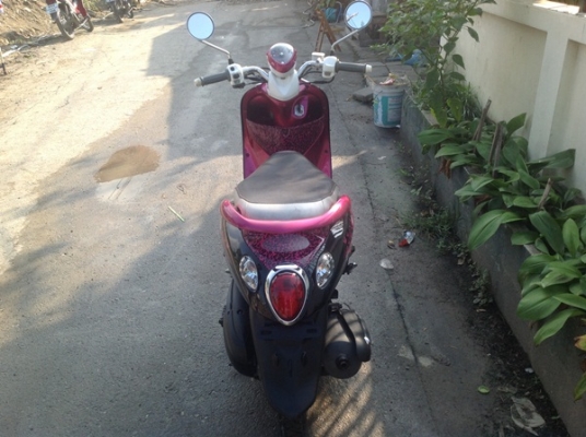 ขายfino สีดำ ชมพู ขาว ปี54 ขายfino สีดำ ชมพู ขาว ปี54