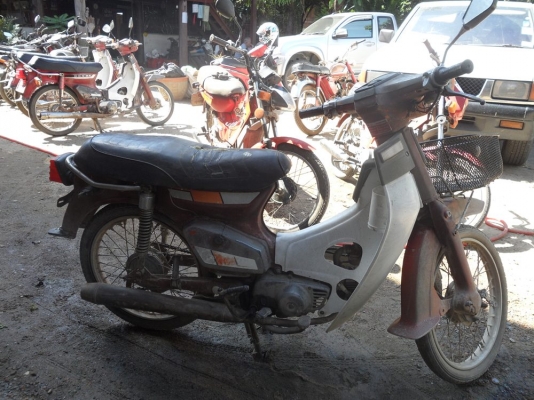 นันธิดาทะเบียน นันธิดาทะเบียน