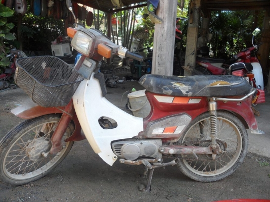 นันธิดาทะเบียน