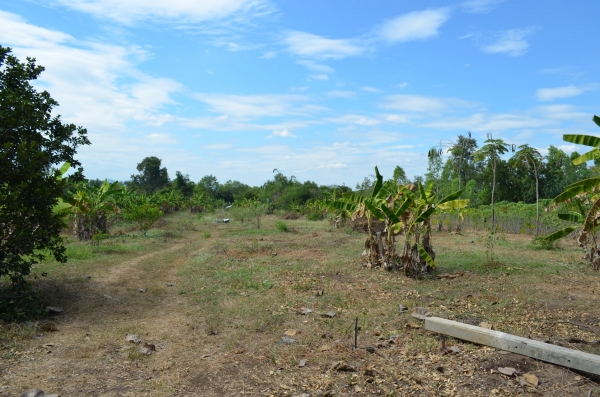 ขายบ้านพร้อมที่ดิน 6ไร่ 2 งาน