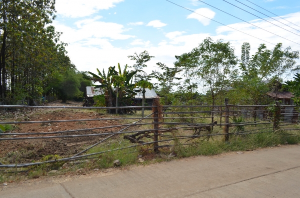 ขายบ้านพร้อมที่ดิน 6ไร่ 2 งาน