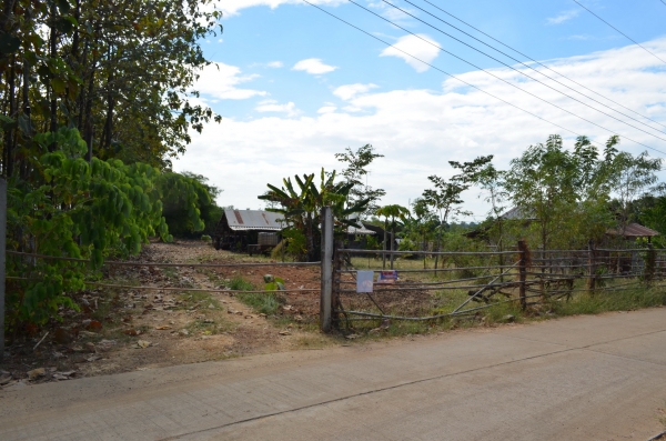 ขายบ้านพร้อมที่ดิน 6ไร่ 2 งาน