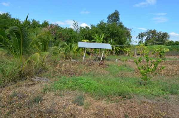 ขายบ้านพร้อมที่ดิน 6ไร่ 2 งาน