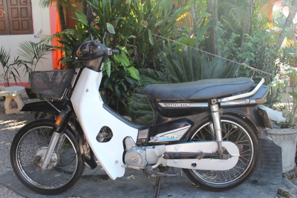 ดรีมคุรุสภาสตาร์ทมือทะเบียนโอนเดิมๆภาษีพึ่งขาด1ปีขายถูกๆ12800บาท