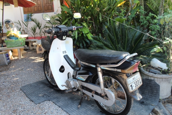 ดรีมคุรุสภาสตาร์ทมือทะเบียนโอนเดิมๆภาษีพึ่งขาด1ปีขายถูกๆ12800บาท