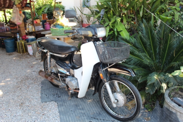 ดรีมคุรุสภาสตาร์ทมือทะเบียนโอนเดิมๆภาษีพึ่งขาด1ปีขายถูกๆ12800บาท