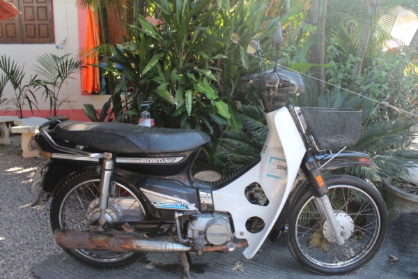 ดรีมคุรุสภาสตาร์ทมือทะเบียนโอนเดิมๆภาษีพึ่งขาด1ปีขายถูกๆ12800บาท