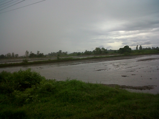 ขายที่ดิน 2 ไร่ ติดถนน อ.ท่ามะกา จ.กาญจนบุรี ขายที่ดิน 2 ไร่ ติดถนน อ.ท่ามะกา จ.กาญจนบุรี