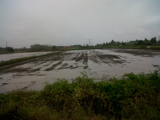 ขายที่ดิน 2 ไร่ ติดถนน อ.ท่ามะกา จ.กาญจนบุรี