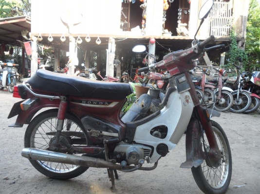 นันธิดาc900CDI