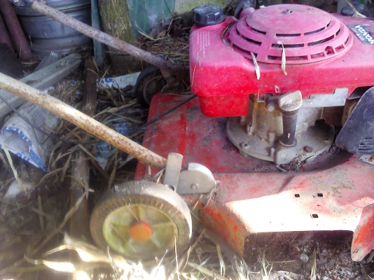 เครื่องตัคหญ้า HONDA ขนาด 5 แรงม้า เดินตาม ปรับระดับการตัดสูงต่ำได้