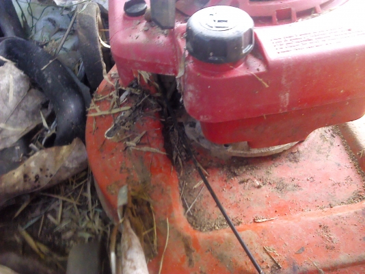 เครื่องตัคหญ้า HONDA ขนาด 5 แรงม้า เดินตาม ปรับระดับการตัดสูงต่ำได้