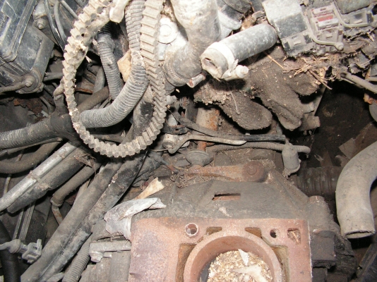 ขายทะเบียนเเถมรถ(ภท3355กทม)