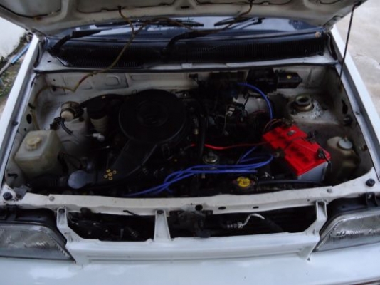 ขายมิร่าขาวสวย ราคา 59000 บ +++++++++ ขายมิร่าขาวสวย ราคา 59000 บ +++++++++