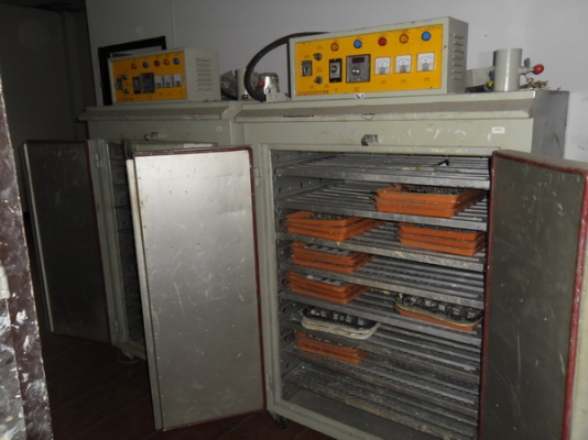 ขายตู้อบสีครับมือสองเพิ่งใช้ได้ 6 เดือน   ราคาต่อรองได้ครับ