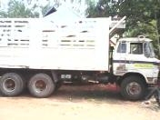 10 ล้อดัมพ์ HINO KT-725 ดัมพ์ 2 เพลา คัชซีสวย ยางดี