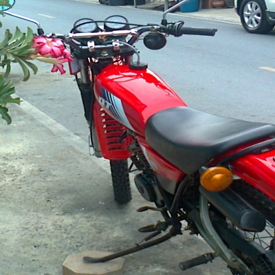 มีวิบาก Yamaha DT 125 MONO อาร์มเหลี่ยม สวยแบบครบ มีวิบาก Yamaha DT 125 MONO อาร์มเหลี่ยม สวยแบบครบ