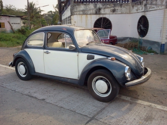 โฟลคเต่าตาตั่ง ปี70  เครื่องดี วิ่งไกลสบาย (Nobook ไม่มีทะเบียน)