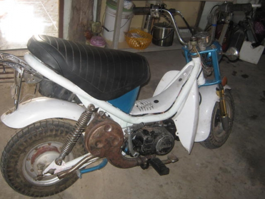 ขาย  ยามาฮา ชิบปี้ เครื่องดีสีสวย ราคา 6500 โทร 0896291500