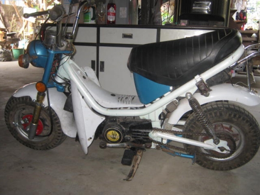 ขาย  ยามาฮา ชิบปี้ เครื่องดีสีสวย ราคา 6500 โทร 0896291500