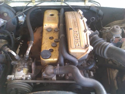 ISUZU  หัวเดียว