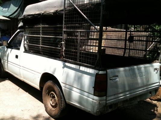 ISUZU  หัวเดียว