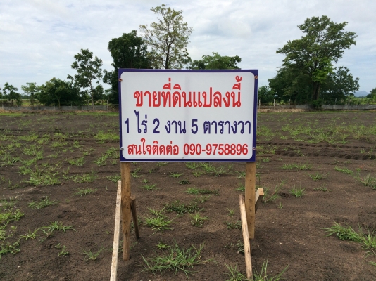 ขายที่ดิน 1-2-5 ไร่