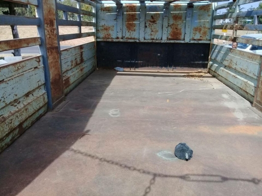 ขายรถบรรทุก ร็อกกี้165แรง ยาว5เมตร ราคา380,000 สนใจโทร 090-8588220คุณนะ 093-3258446คุณบิว หรือเข้าดูสินค้าอื่นๆได้ที่ www.narong2truck.com หรือ www.truck.in.th/498 หรือเพจFacebook ณรงค์ ซื้อขายรถมือสอง (เว็บไซต์ส่วนตัว) หรือFacebook คุณนะ รถบรรทุก